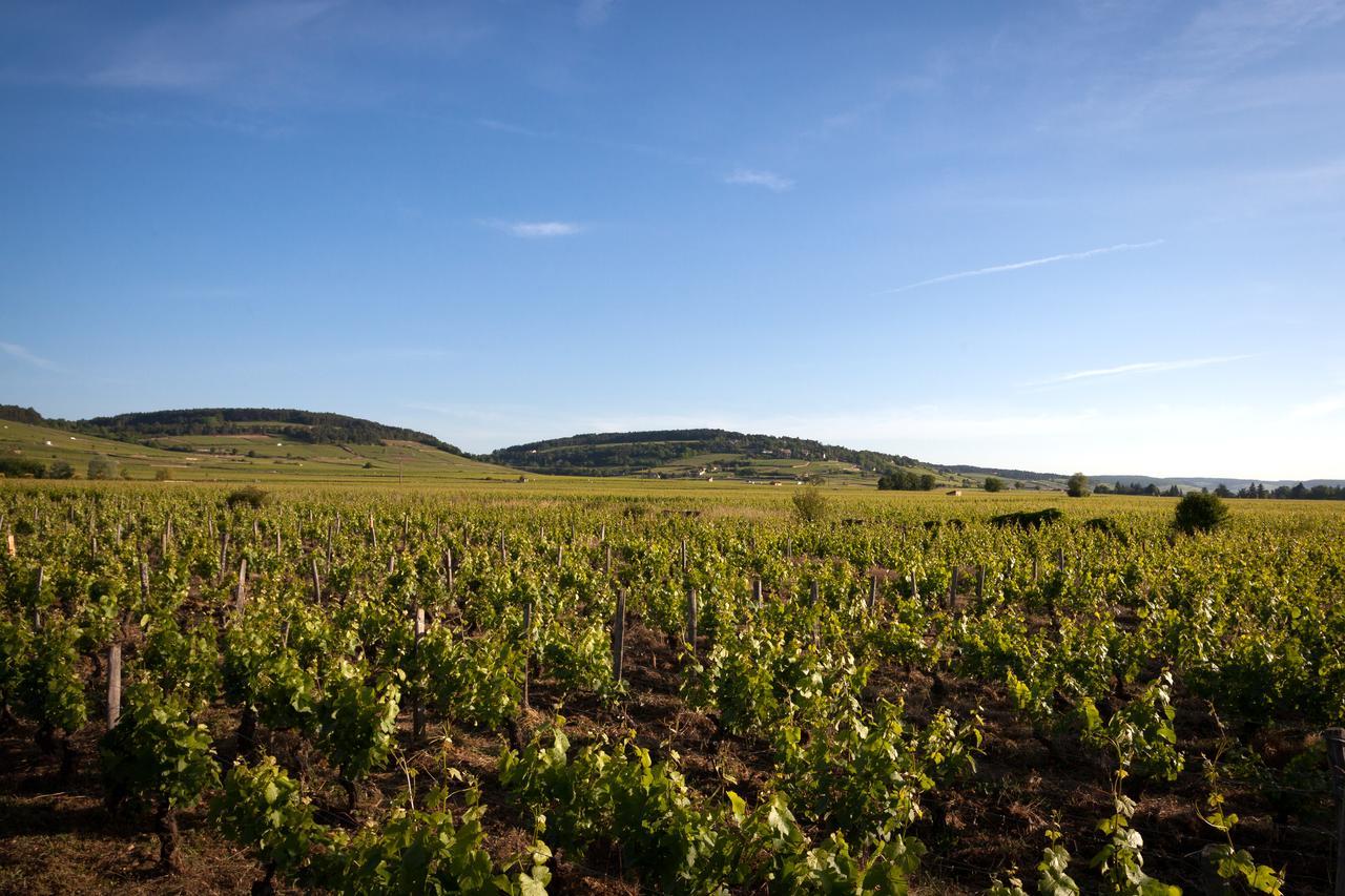 Kyriad Prestige Beaune Le Panorama Dış mekan fotoğraf